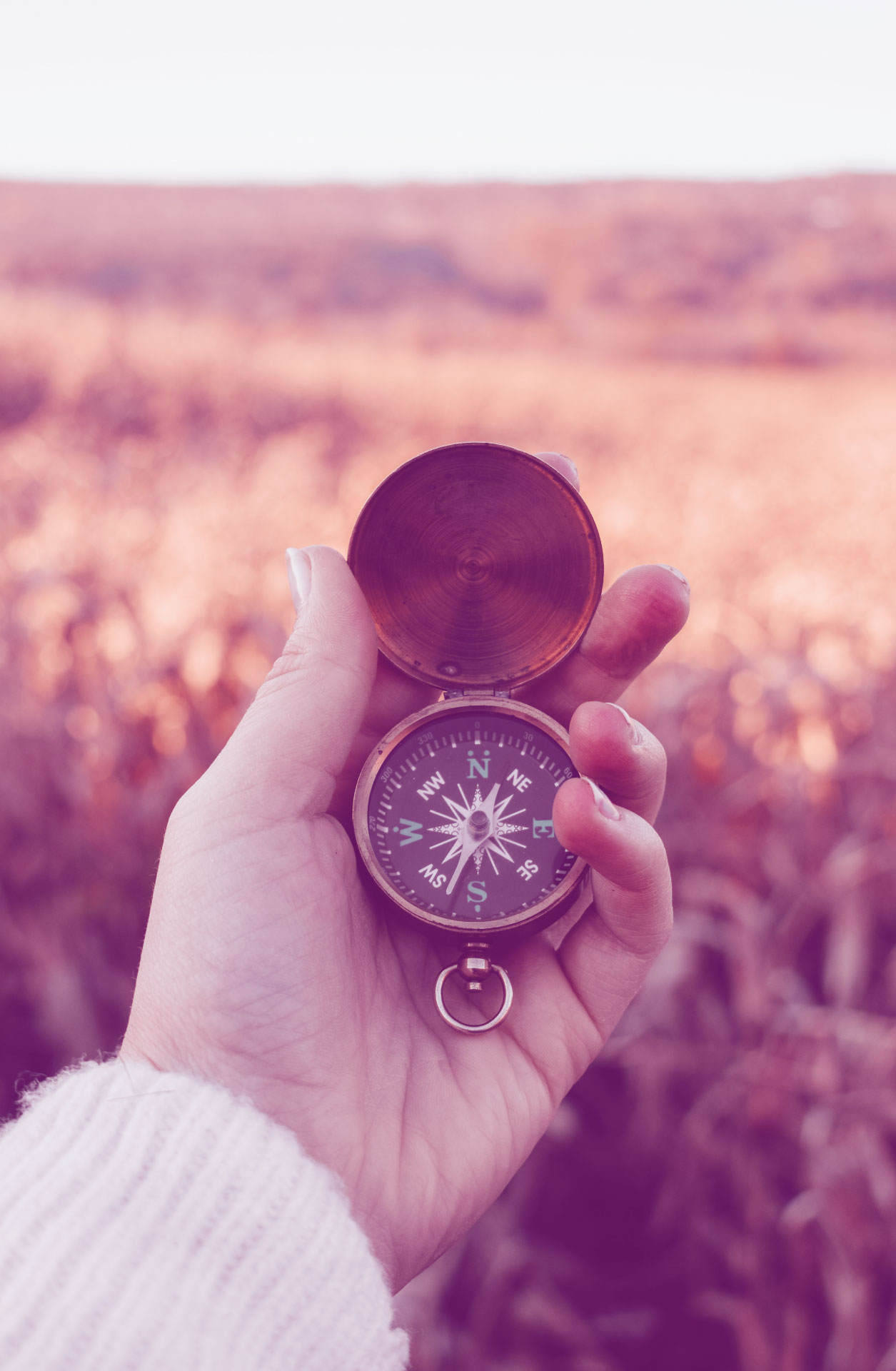 COMPASSROSE TatianaRod