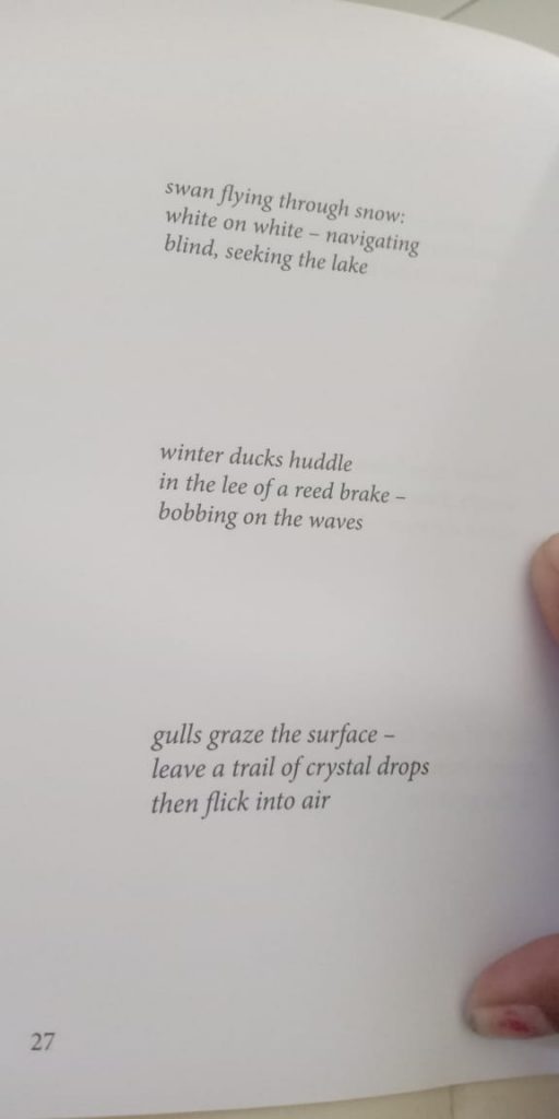 Contoh Puisi Haiku Tentang Air denah