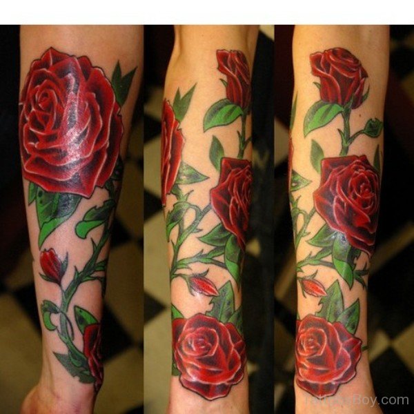 Beautiful Red Roses Tattoo Tattoo Designs, Tattoo Pictures