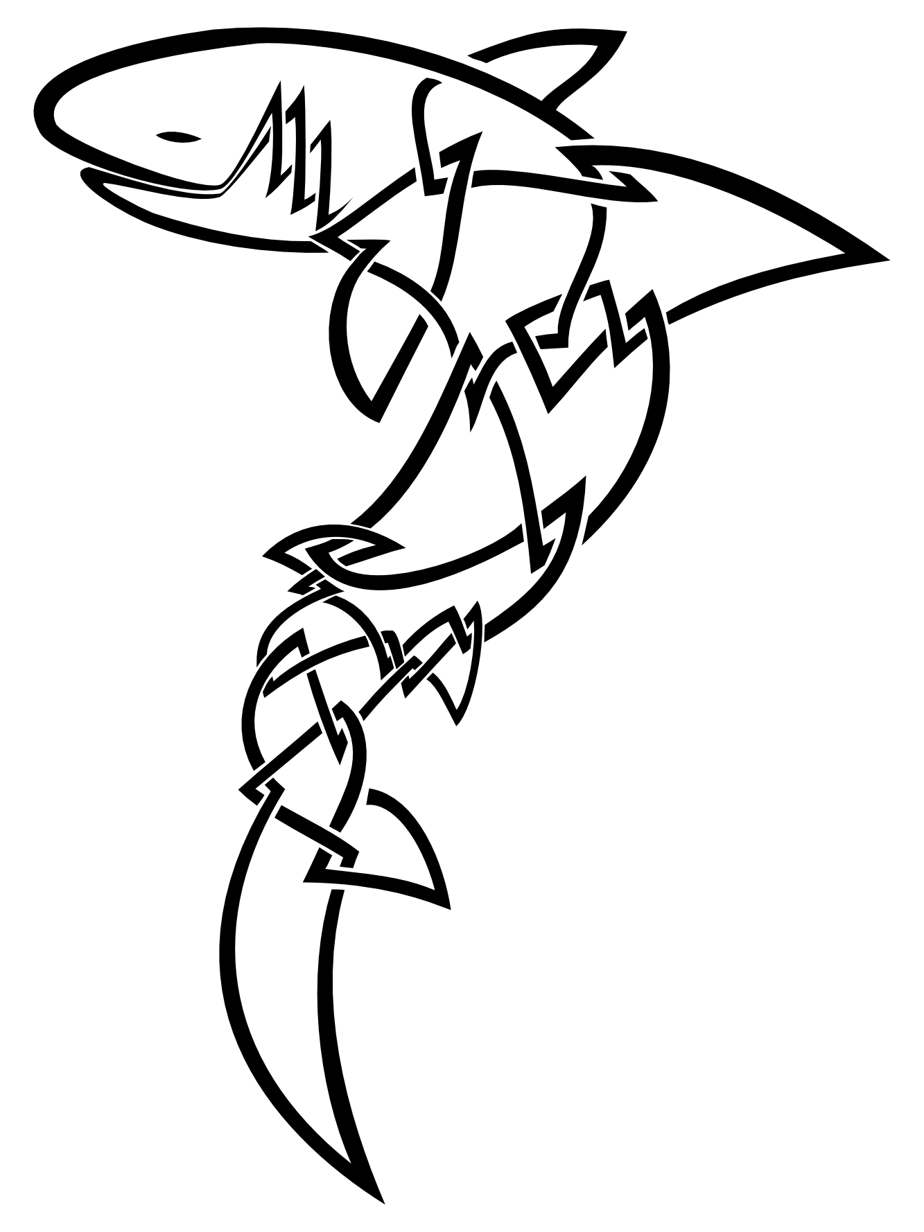 Tattoo of Celtic shark, Roots tattoo custom tattoo