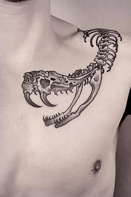 20+ Tatuaggi Con Il Serpente Per Gli Uomini - Tatuaggistyle.it 683_x_455_png