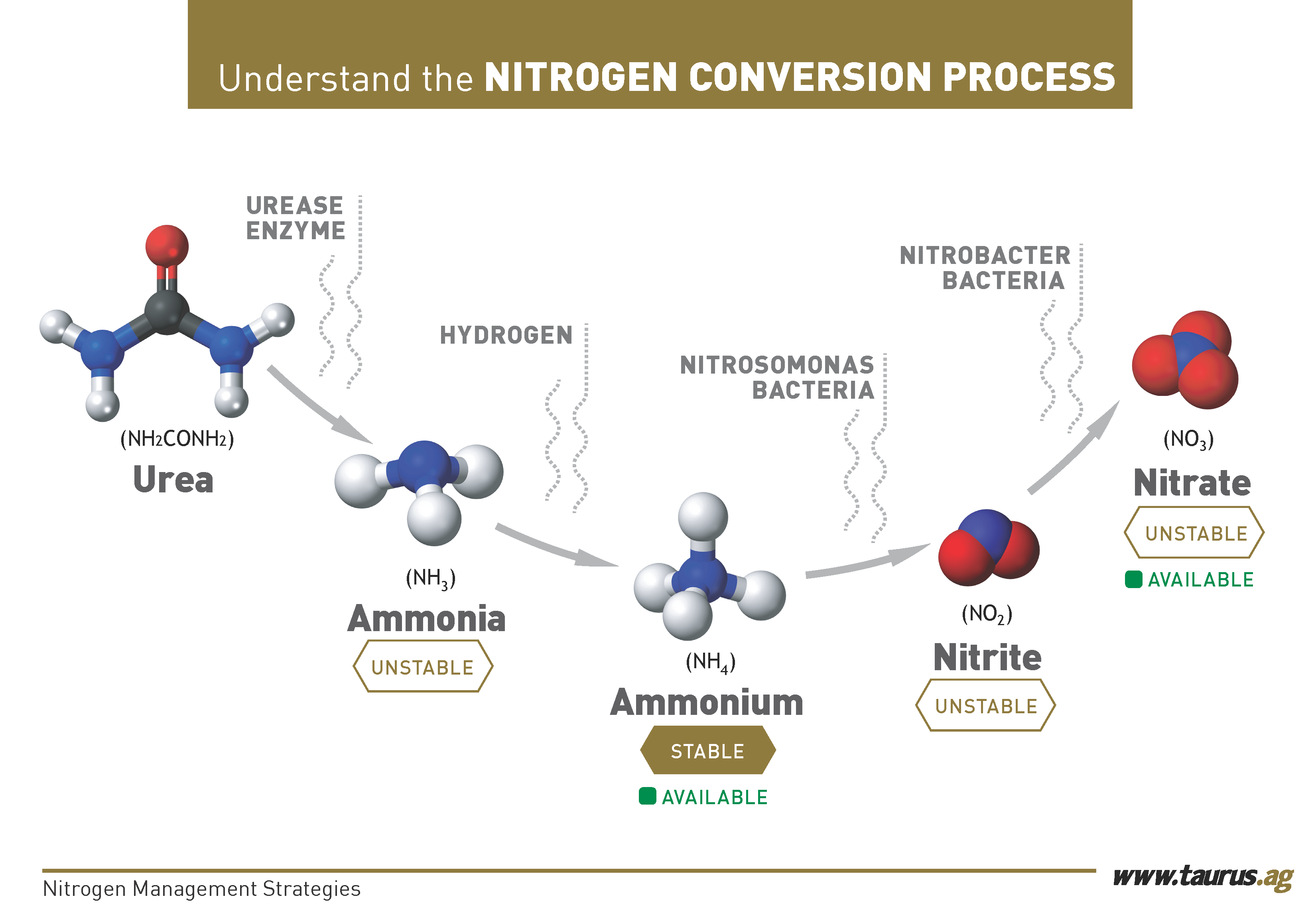 Learn About Preventing Nitrogen Loss in your Fall Applications