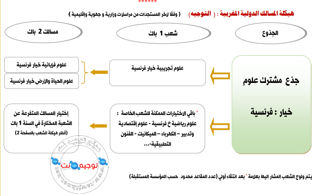 ما هي امتيازات المسالك الدولية منتديات توجيه نت