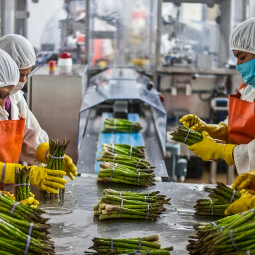 Ferrous Sand Casting Industrial Food Processing Equipment