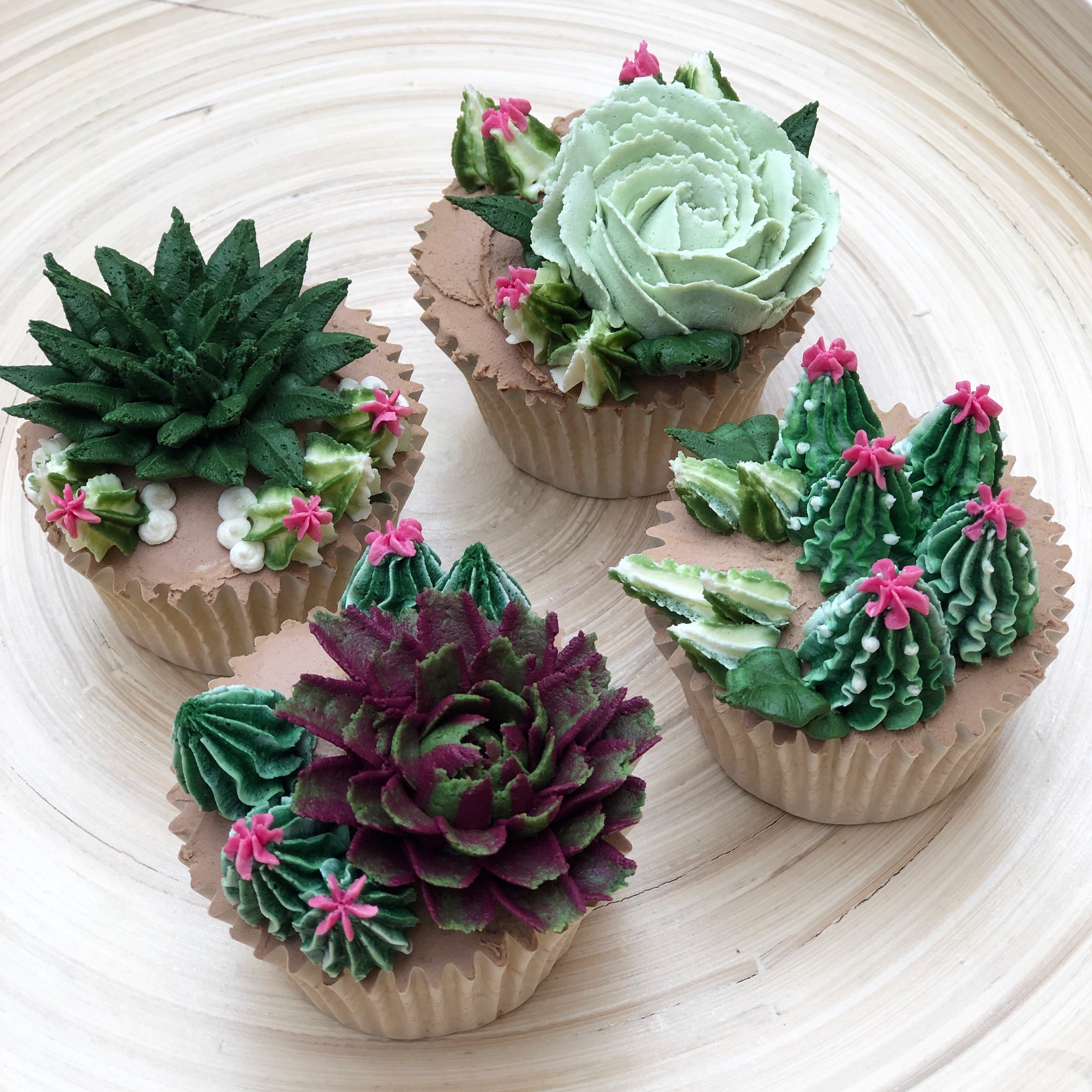 The Taylor Made Succulent Collection Online Video