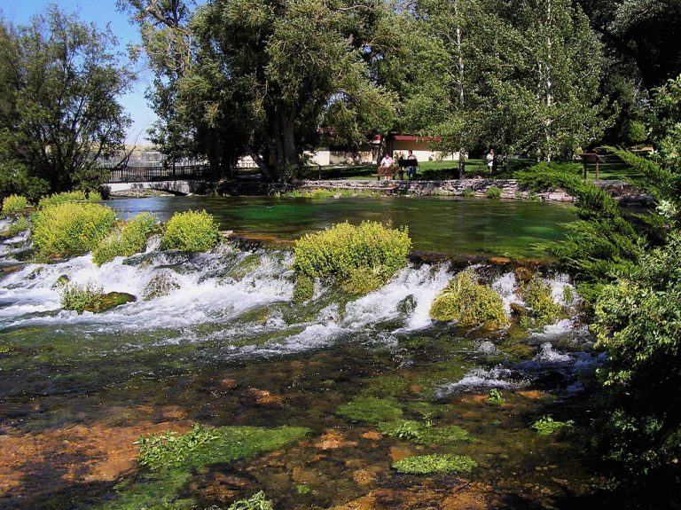A Guide to Giant Springs State Park Near Great Falls, MT Taylor's