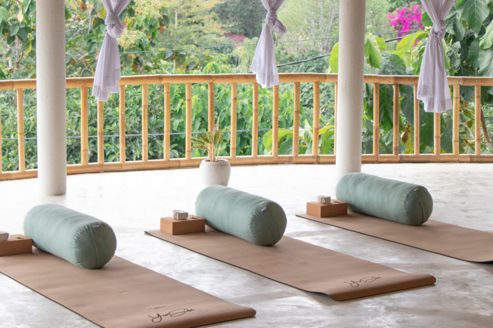 10 Best Yin Yoga Teacher Training Around the Globe Taylor's Tracks