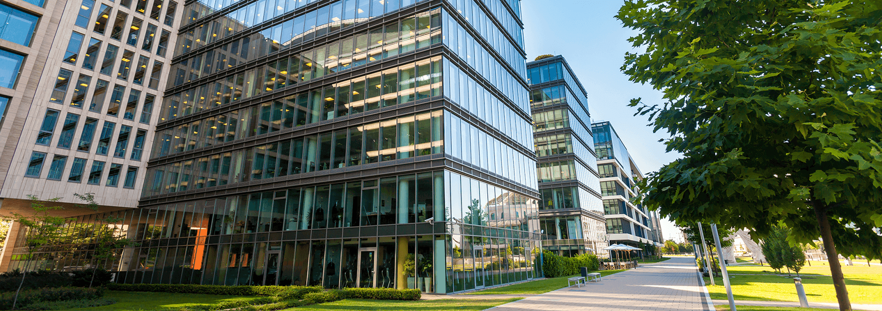 Triangle Commercial Association of REALTORS® Advocate for Commercial