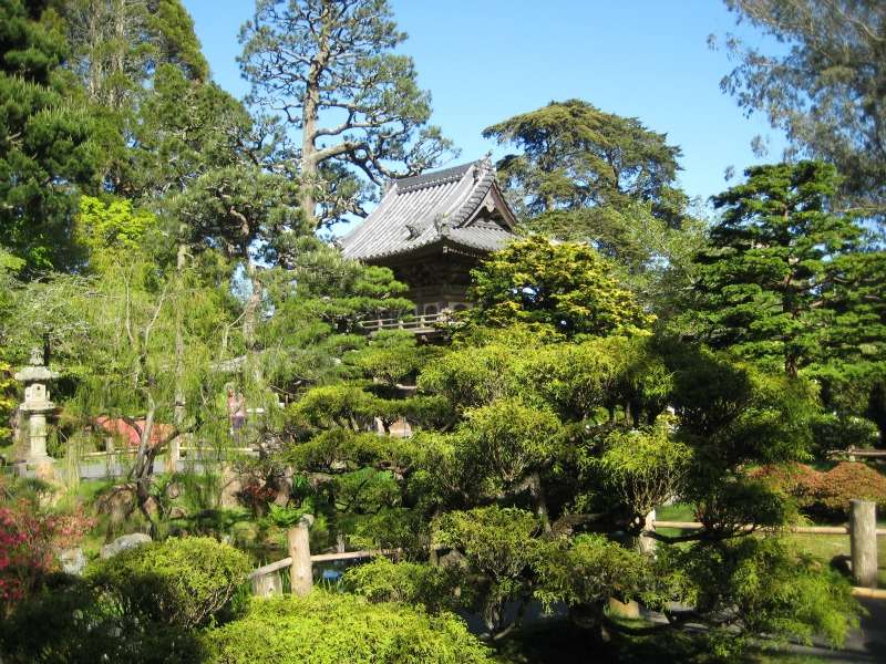 Two Japanese Gardens in Northern California T Ching
