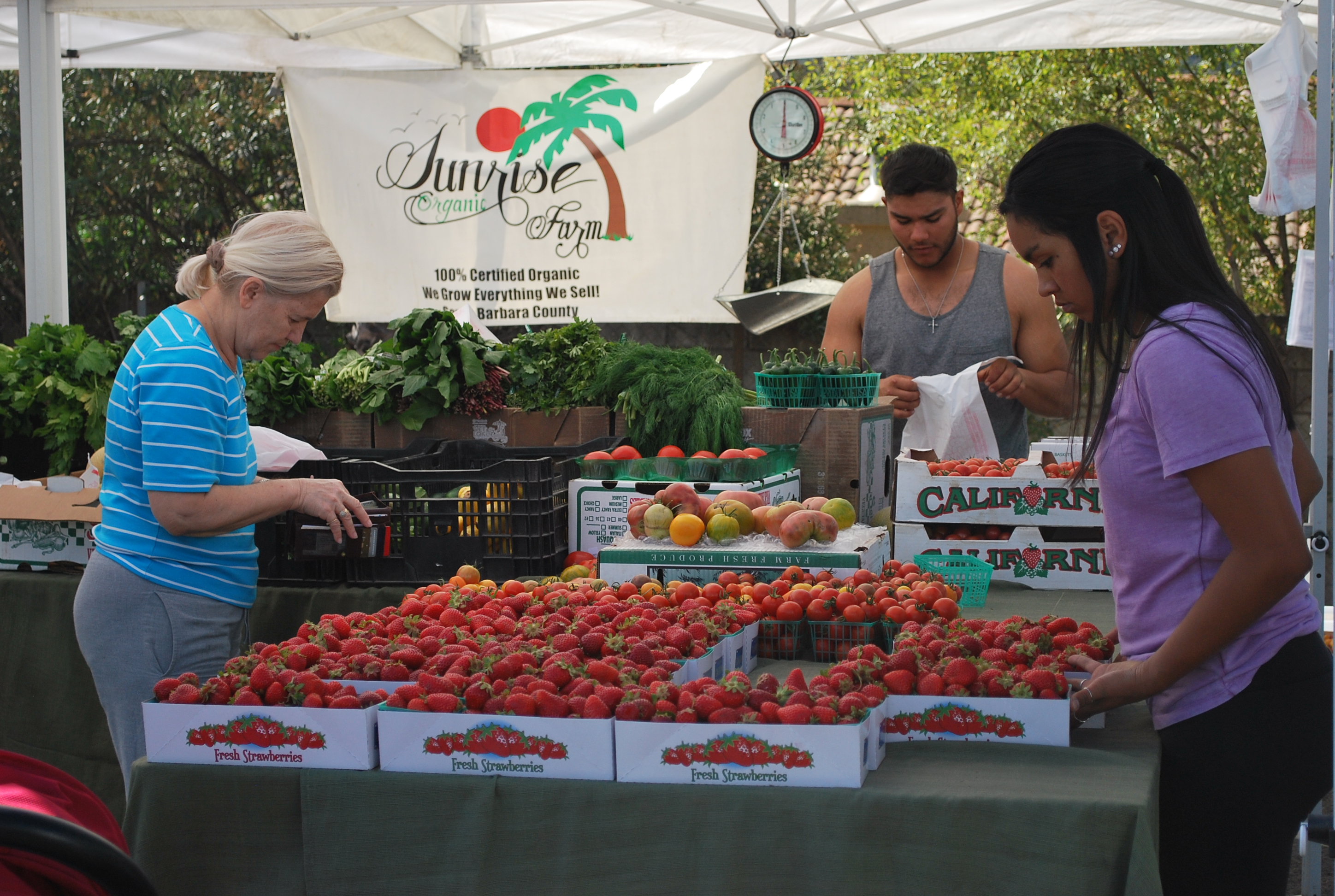 Fresh food galore at a farmers market near you TCHS Rampage