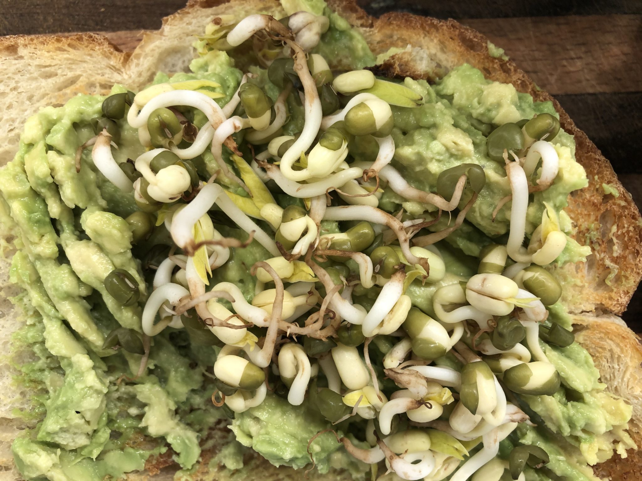 AVOCADO AND MUNG BEAN SPROUTS TCM World