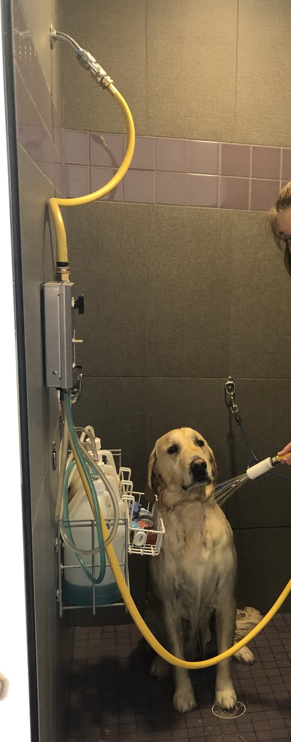 Tour Falcon Archives Page 3 of 5 Tender Care Veterinary Center