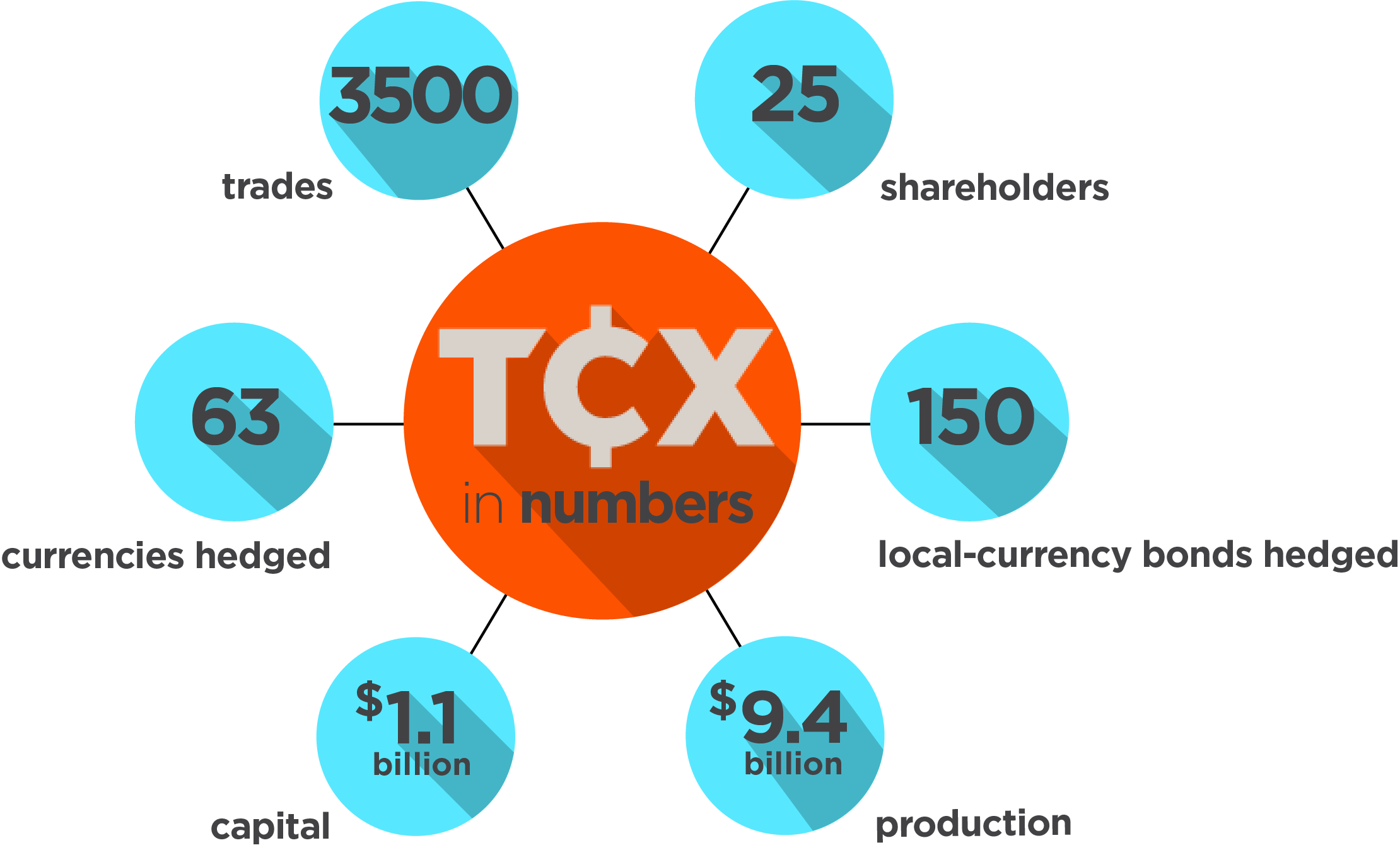 About The Fund Tcx