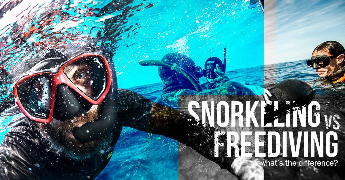 Snorkeling vs. Freediving What’s the difference? International