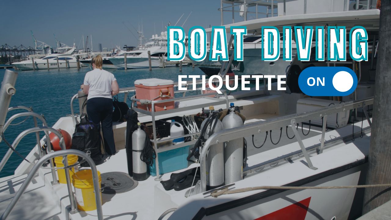 Boat Diving Etiquette