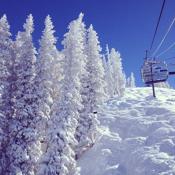 March Madness In Telluride More Snow! » T.D. Smith