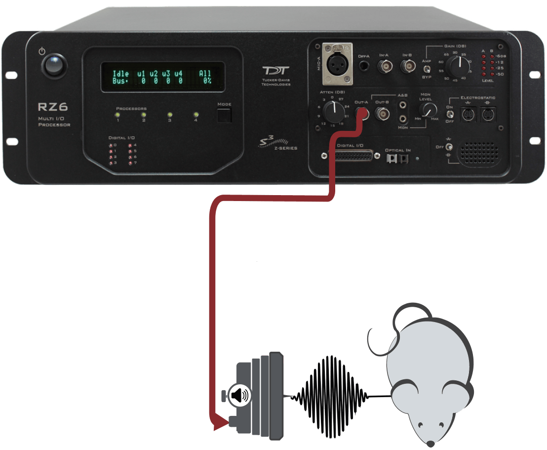Auditory Stimulation TuckerDavis Technologies