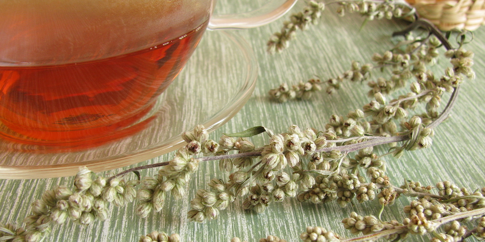 Mugwort Tea Benefits & Side Effects Kent Tea & Coffee Co