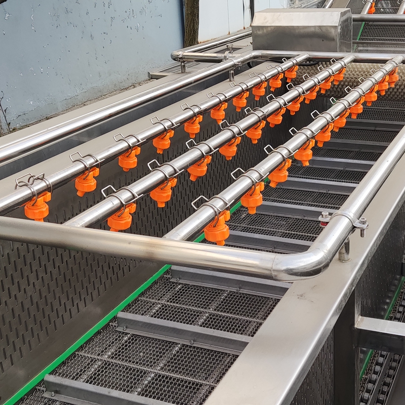 Wholesale Industrial Fresh Vegetable Fruits Cleaning Processing Washing