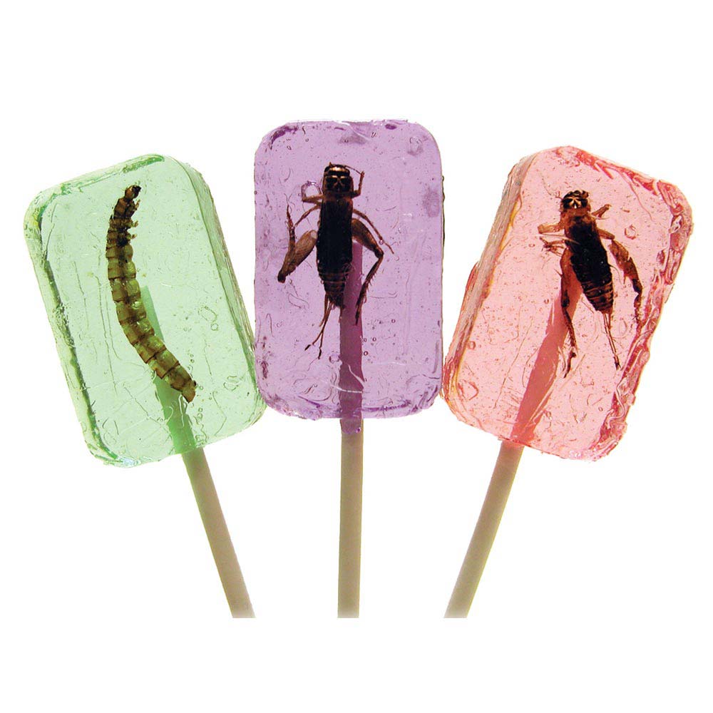 Cricket & Larva Licket Lollipops, Insect Candy Educational Innovations