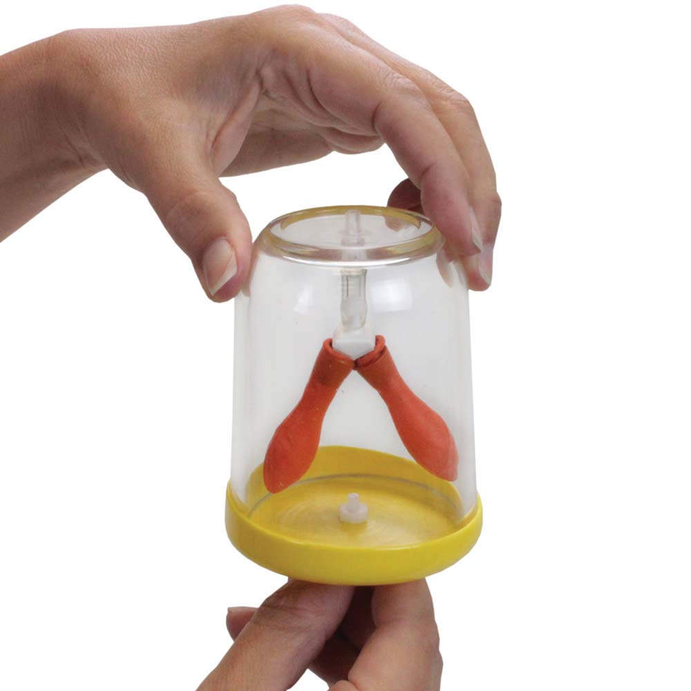 Lung/Diaphragm Demo, Biology/Life Science Educational Innovations, Inc.