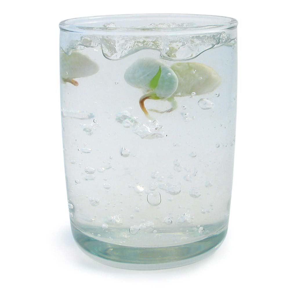 Water Gel Crystals Use Ghost Crystals for Your Next Classroom