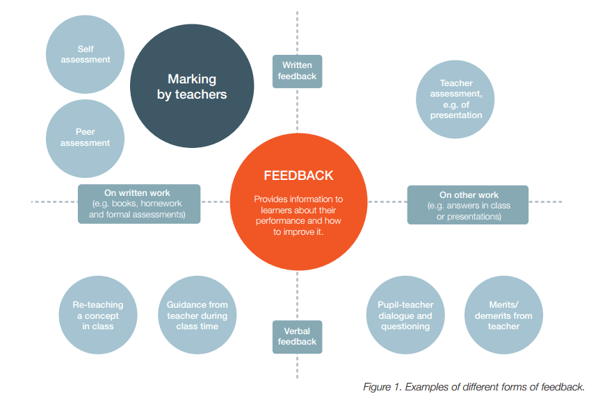 Live Feedback in Lessons