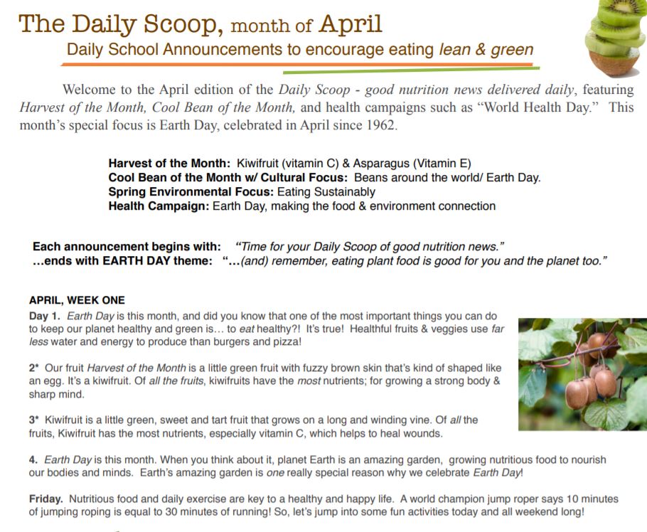 5th grade health worksheets grade 5 worksheets free 5th grade health worksheets grade 5