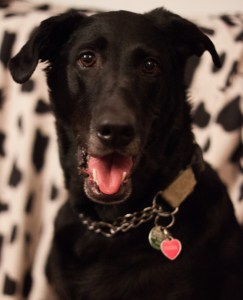 Kiara - 7 year old Portrait Photo Shoot