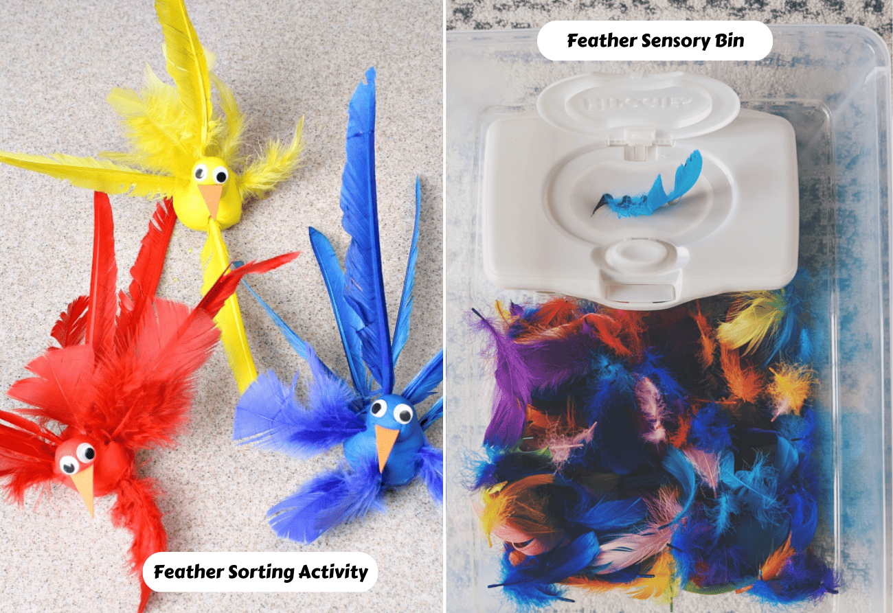 12 Fabulous Feather Activities Teaching Expertise