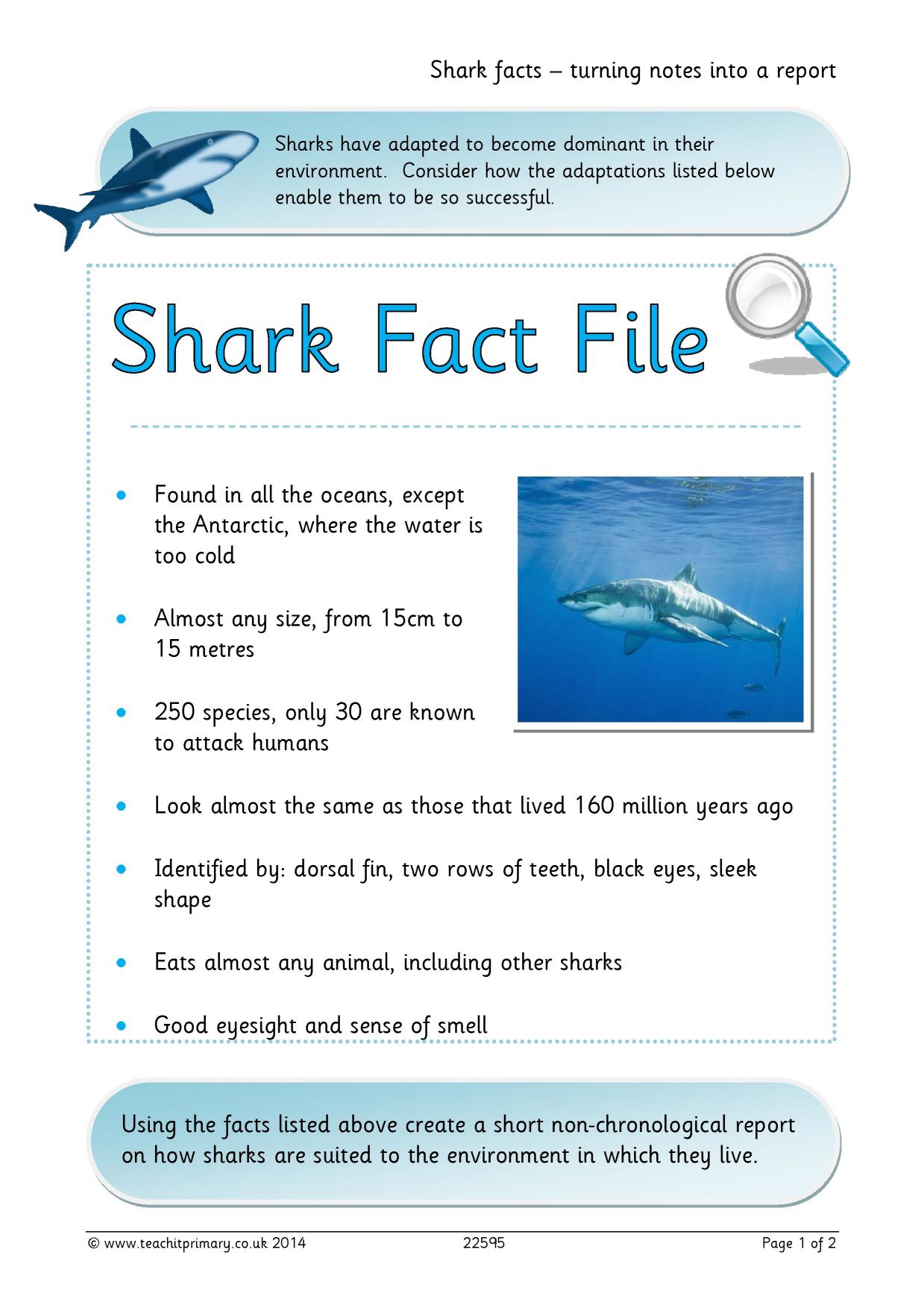 Shark facts turning notes into a report KS2 adaptation and