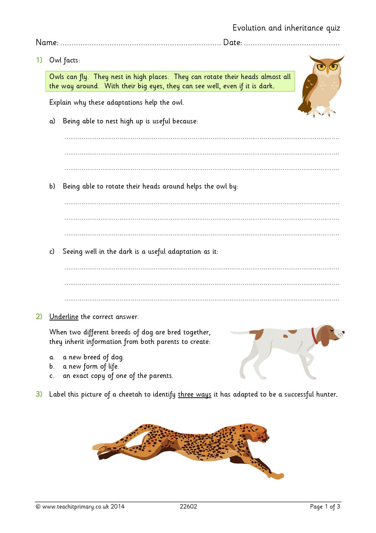 Evolution and inheritance quiz KS2 science Teachit