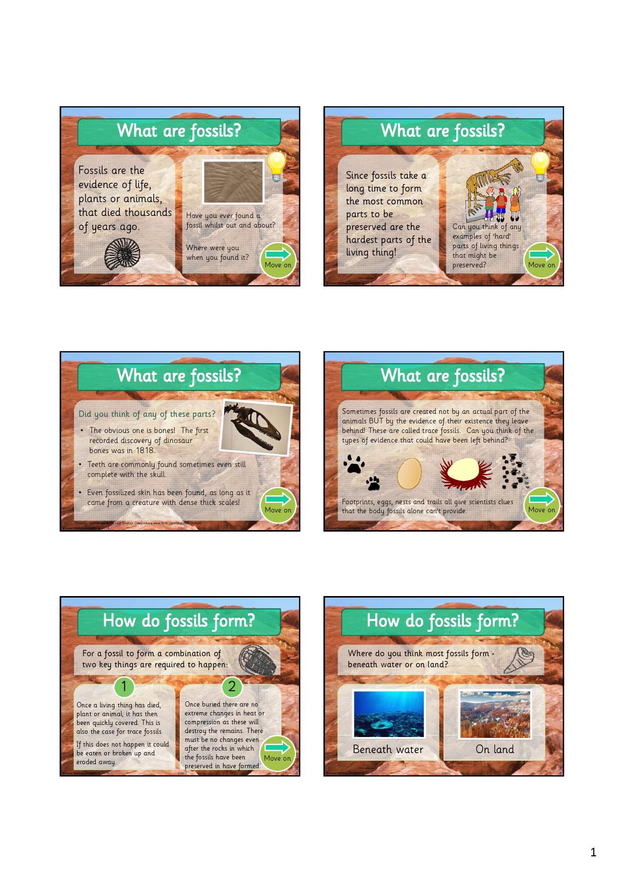 What are fossils? KS2 evolution and inheritance Teachit