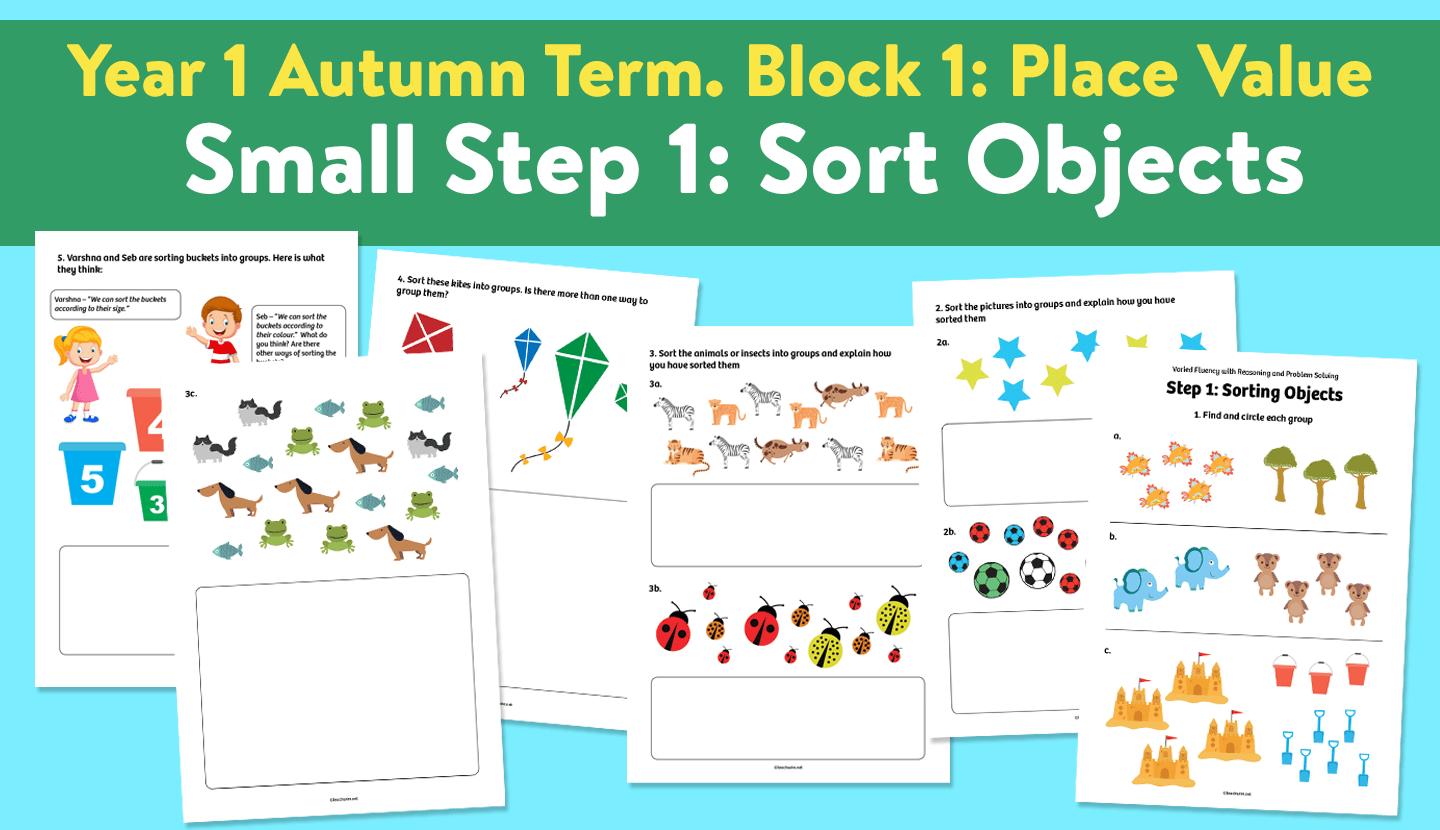Place Value Year 1 Maths Lesson Activities Sorting Objects