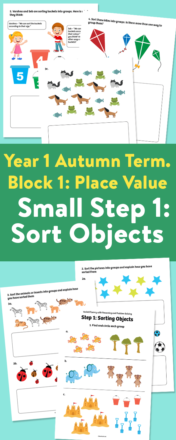 Place Value Year 1 Maths Lesson Activities Sorting Objects