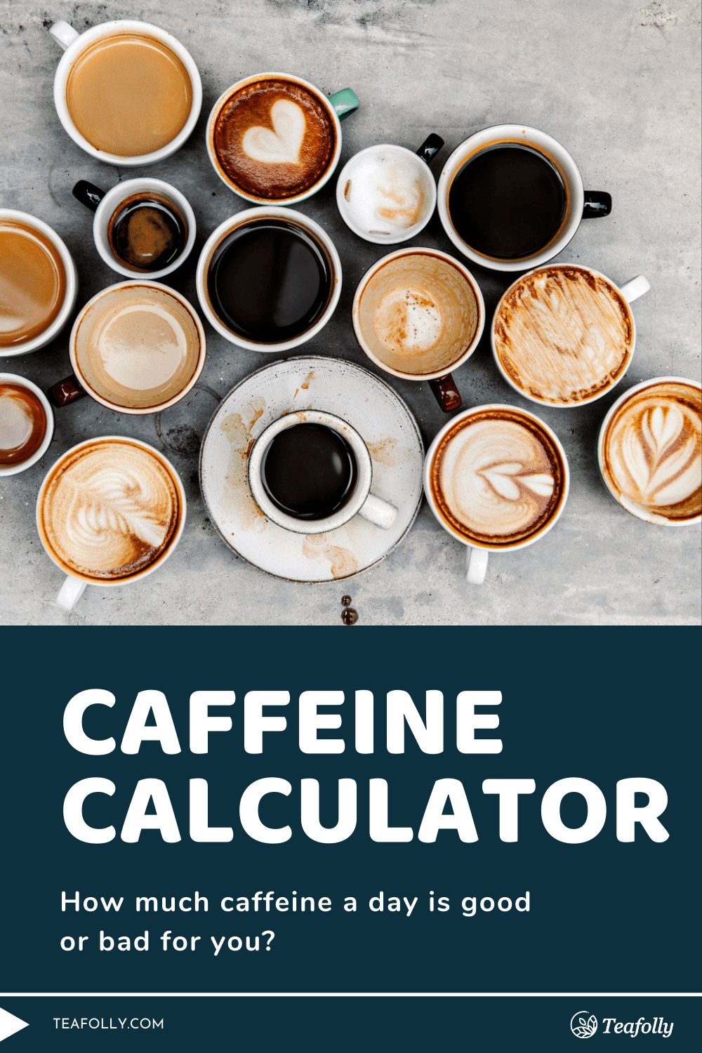 Caffeine calculator Calculate your daily caffeine intake • Teafolly