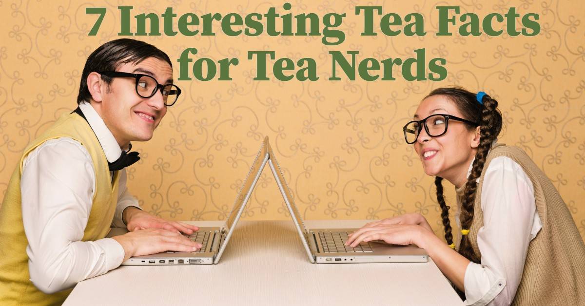 7 Interesting Tea Facts for Tea Nerds Tea Galaxy