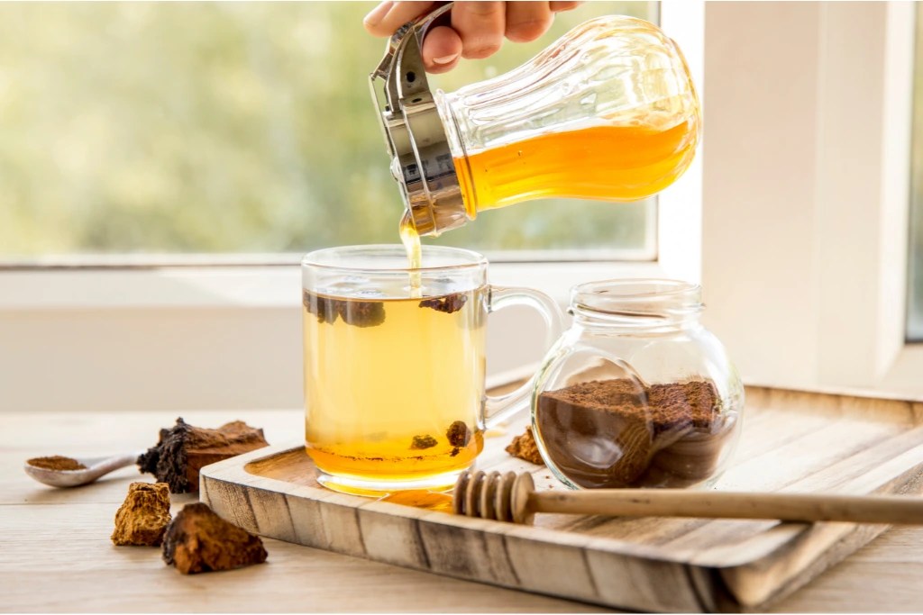 How To Make Chaga Mushroom Tea Tea Joy