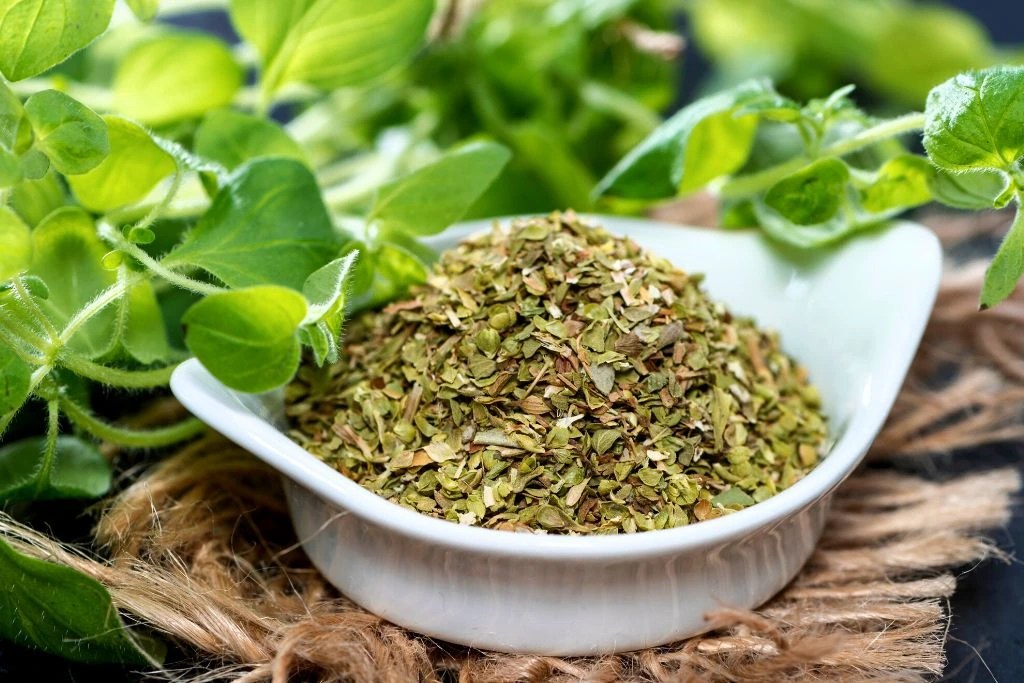 How to Make Oregano Tea TeaJoy
