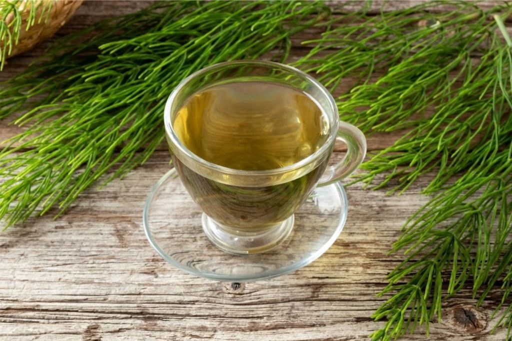 9 Best Teas for UTI Relief and Prevention TeaJoy