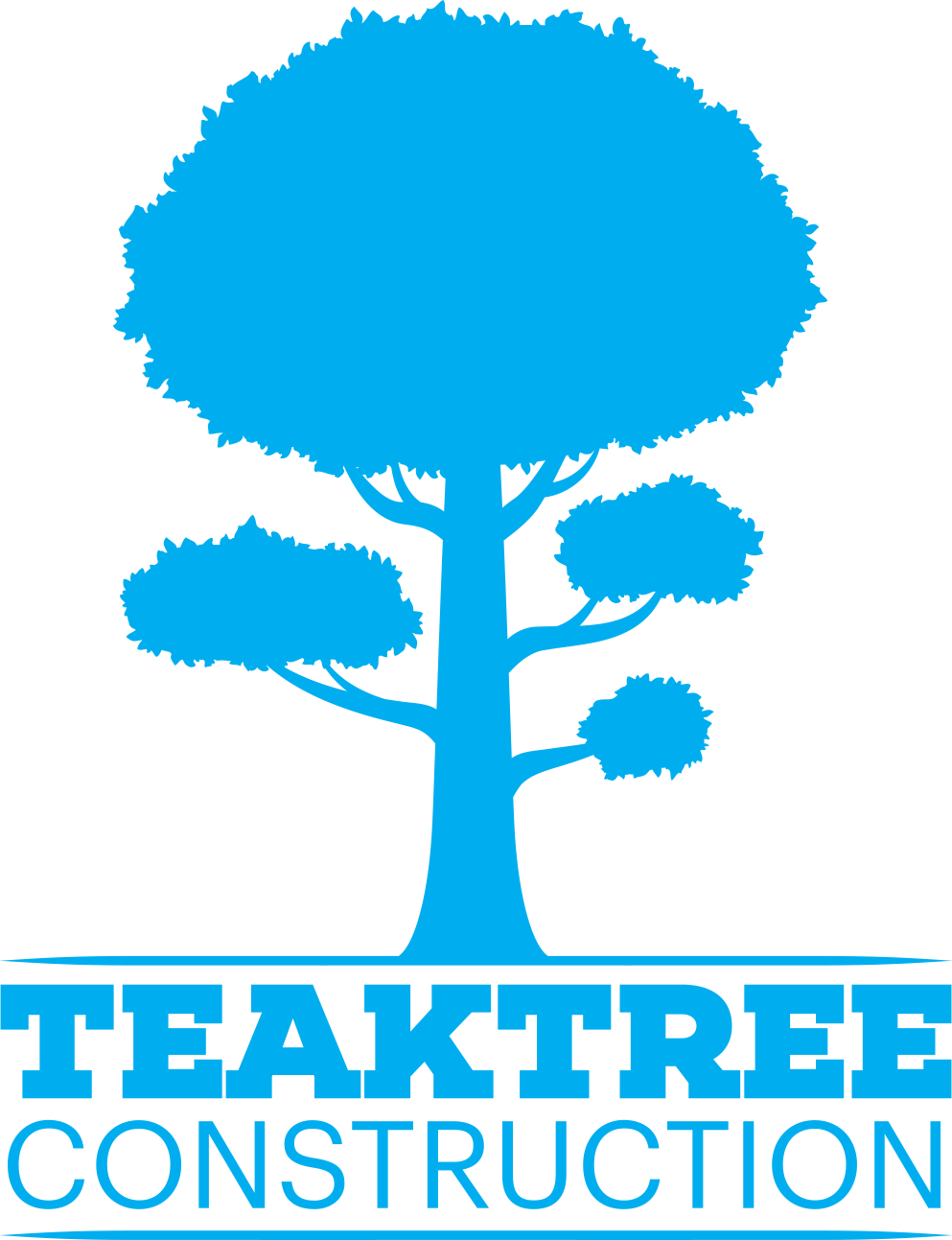 Complete Guide to Renovating a House Teaktree Construction Limited