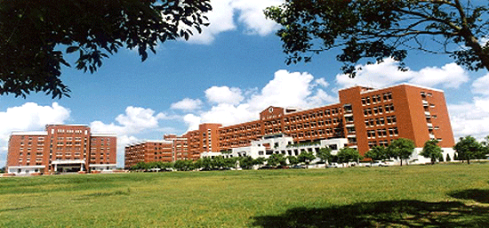 Tealit 外 籍 生 台 灣 留 學 Chang Jung Christian University 長榮大學
