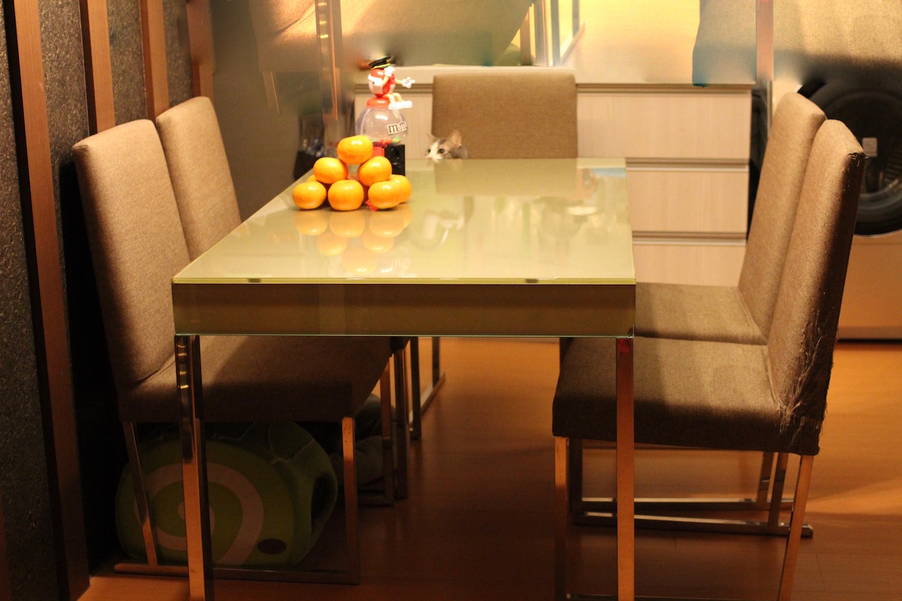 Taiwan General Merchandise Buy, Sell and TradeDining Set (5 chairs)