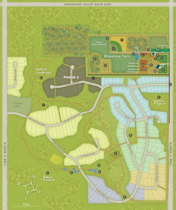 Braestone Team AcePreConstruction, Resale and Commercial Real Estate Experts