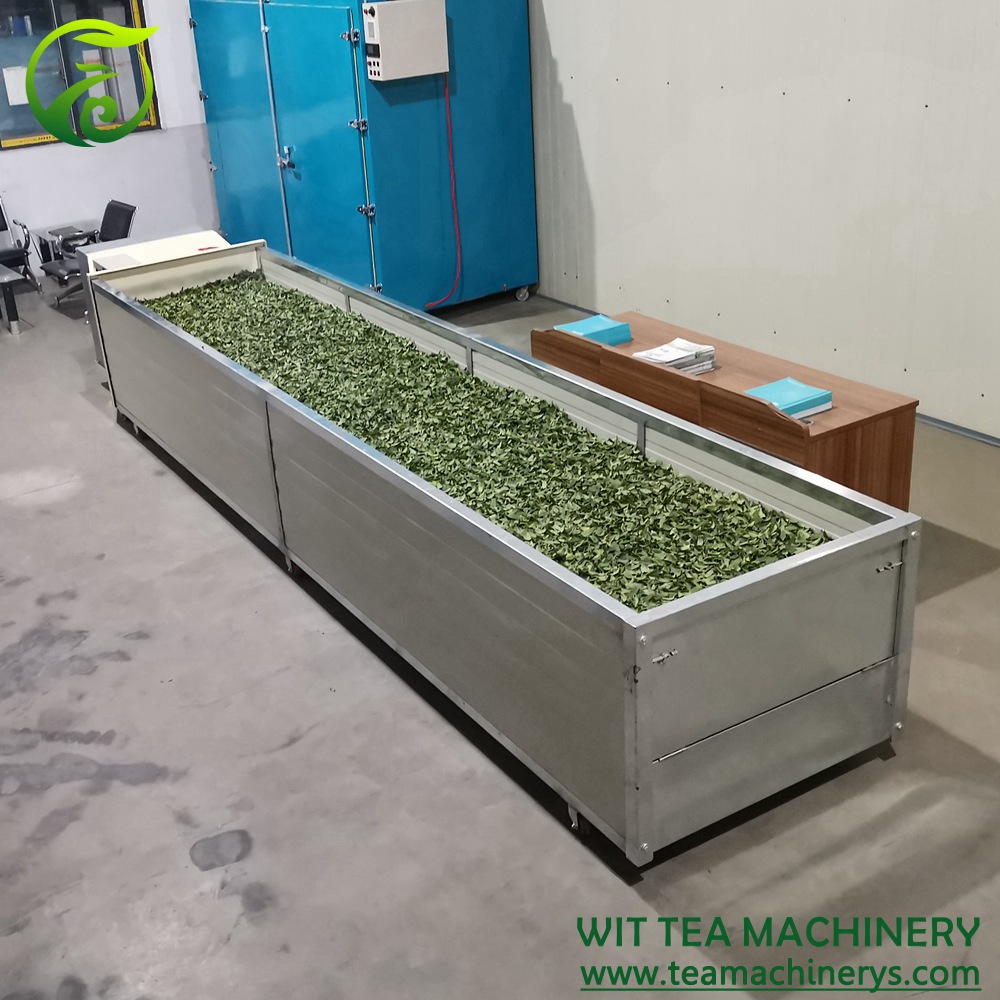 OEM Welldesigned Electric Green Tea Dryer 500cm Length 100cm Width