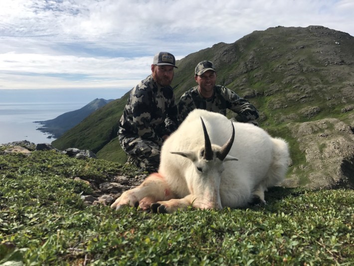 Alaska Hunts Mountain Goat