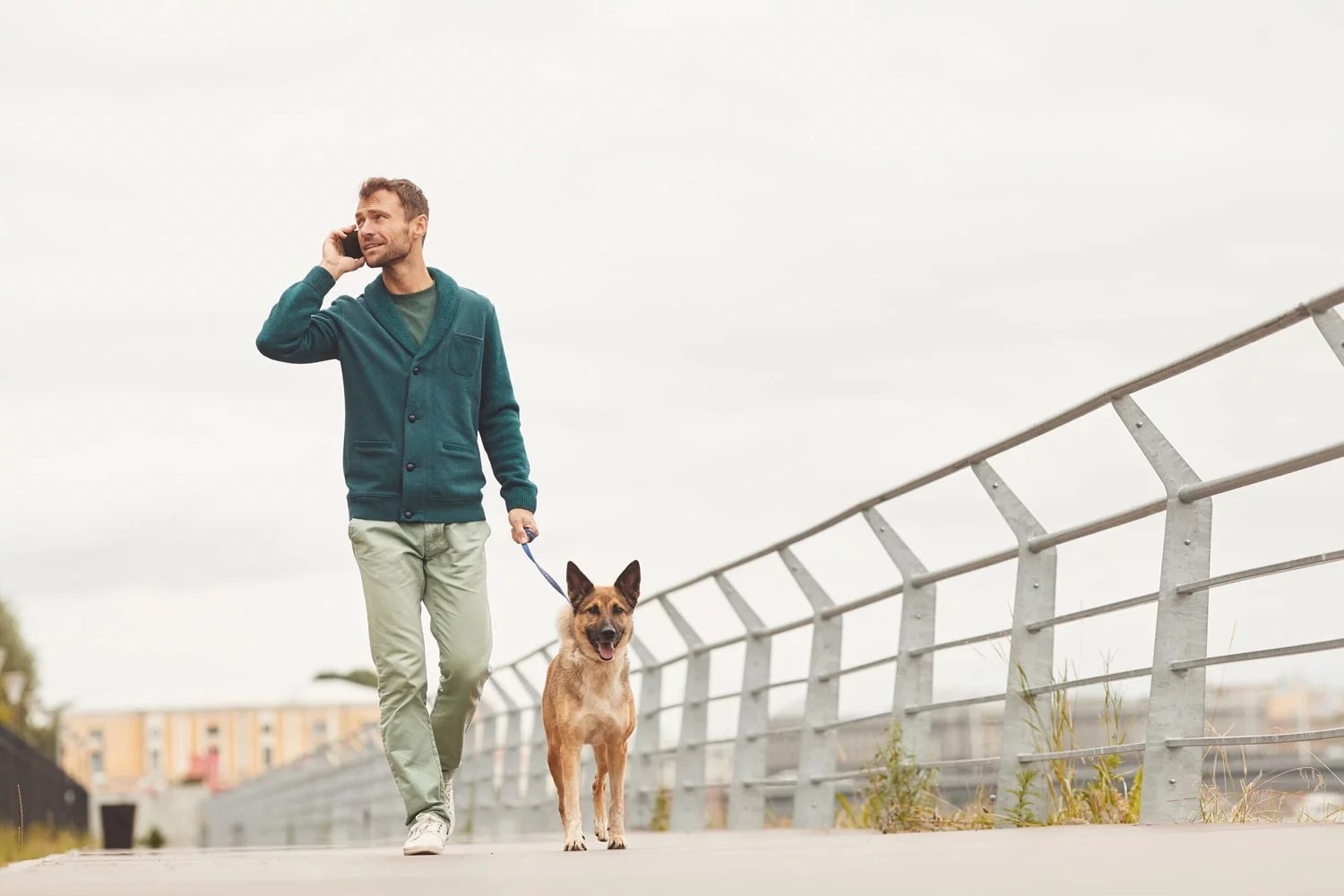 Advantages of Hiring a Pet Sitter Advantage Insurance