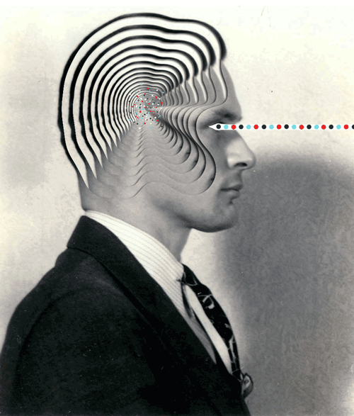 13 Funny Gifs That'll Keep You Laughing Team Jimmy Joe