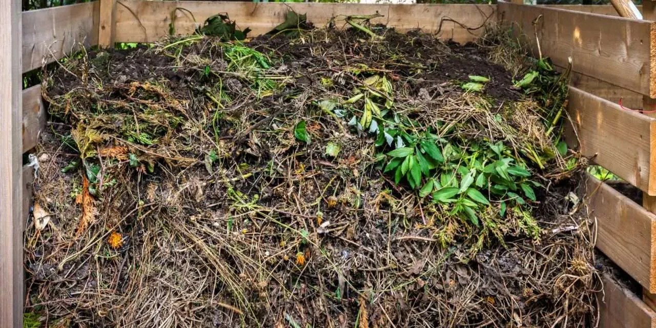 Understanding Solid Waste Composting Team One Biotech