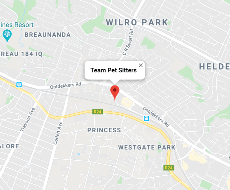 Pet Sitter Gauteng Johannesburg & Pretoria Team Pet Sitters Pet